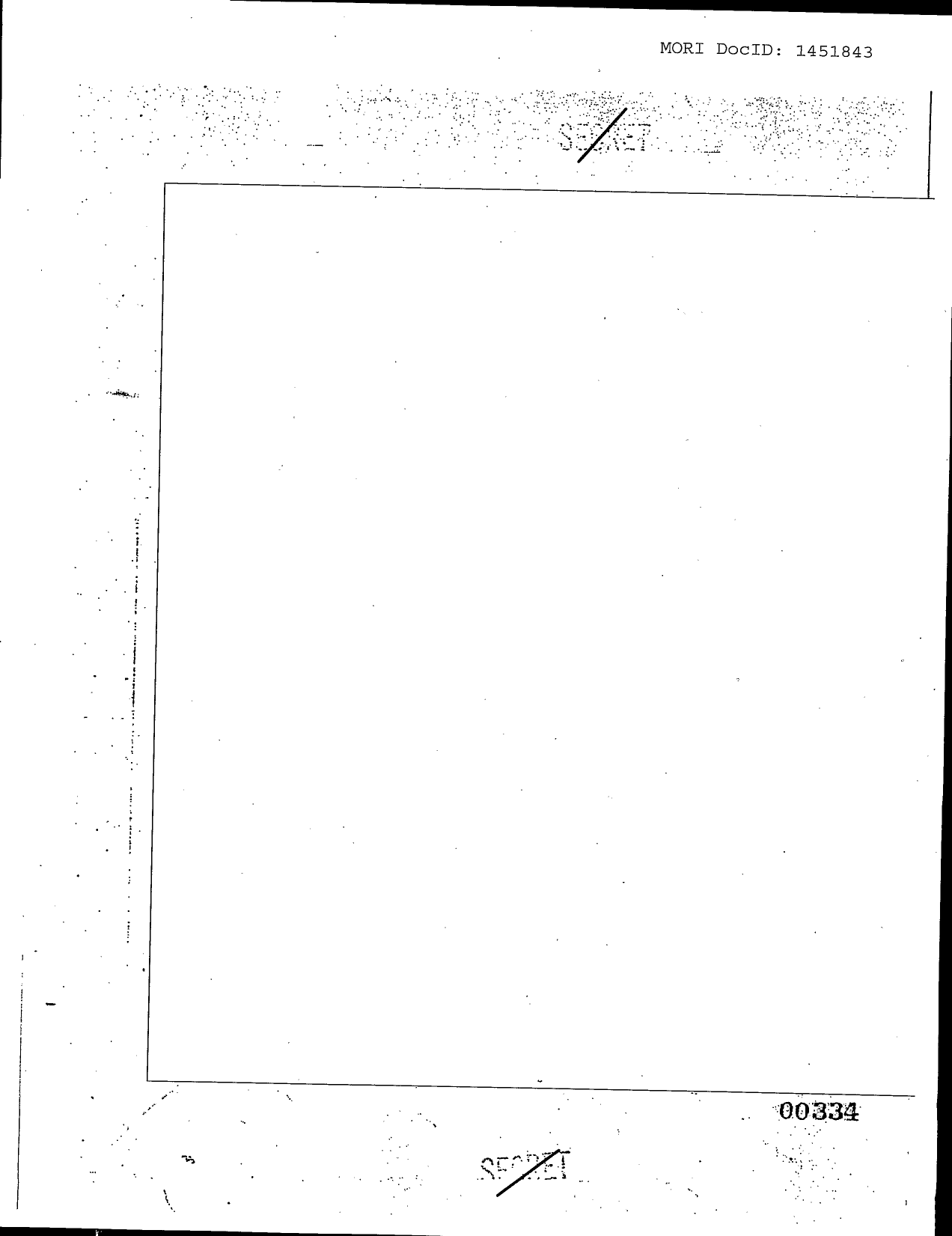 Family Jewels page 335 (scanned image)
