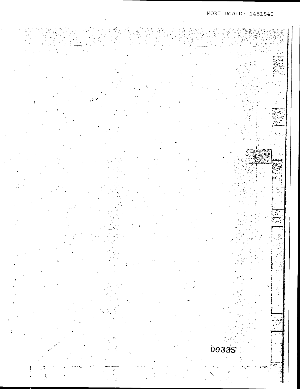 Family Jewels page 336 (scanned image)