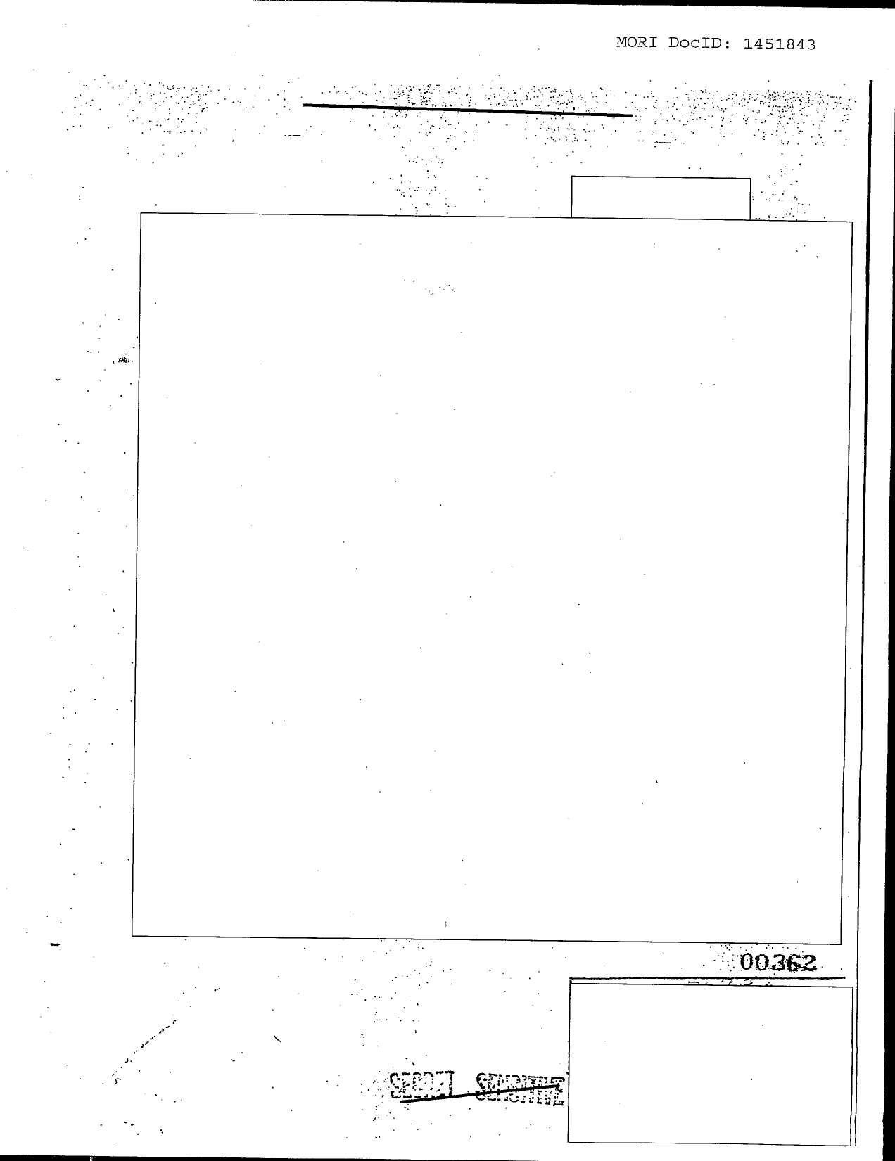 Family Jewels page 363 (scanned image)