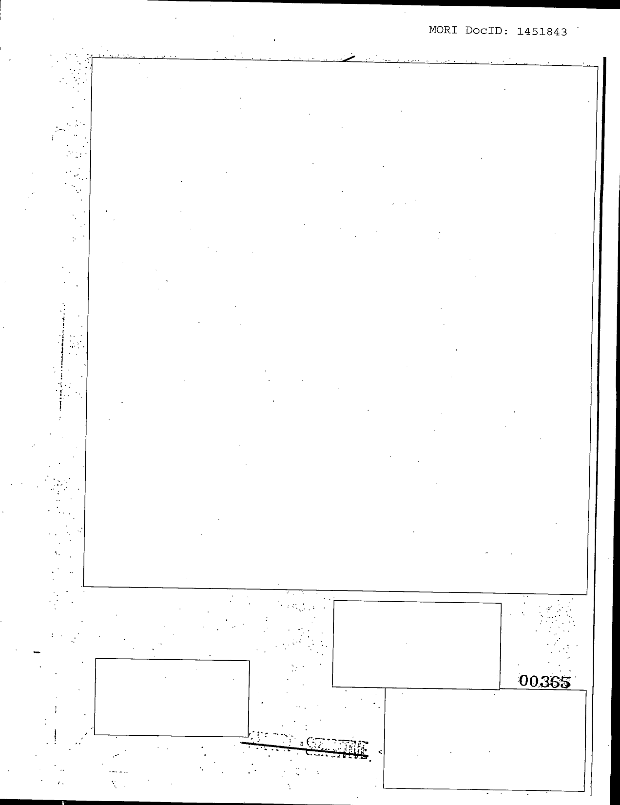 Family Jewels page 366 (scanned image)