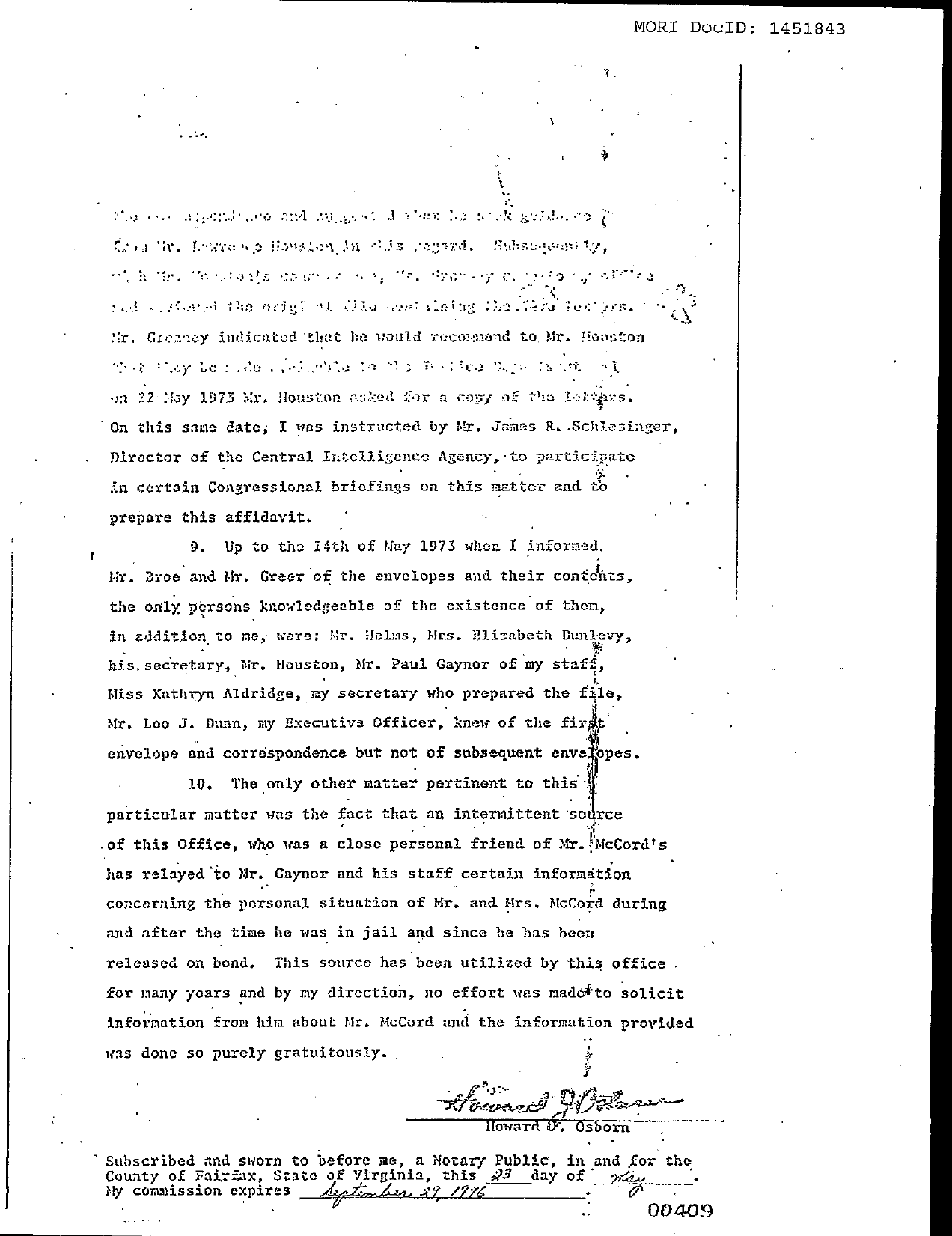 Family Jewels page 411 (scanned image)